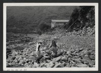 藏品(油羅溪內灣護岸復原工程(護岸復原500M)-施工中2)的圖片