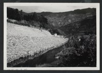 藏品(油羅溪內灣護岸復原工程(護岸復原500M)-施工前2)的圖片