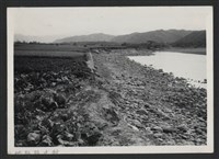 藏品(鳳山溪水尾堤防復原工程(堤防復原350M)-施工前1)的圖片