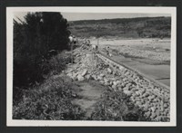 藏品(鳳山溪泰和堤防復原工程(堤防復原350M)-施工前2)的圖片