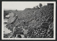 藏品(鳳山溪鳳來一二號堤防復原工程(堤防復原465M)-施工前2)的圖片