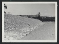 藏品(鳳山溪鳳來一二號堤防復原工程(堤防復原465M)-施工後2)的圖片