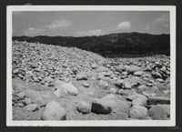 藏品(油羅溪豐田堤防復原工程(堤防復原250M)-施工中)的圖片