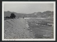 藏品(油羅溪豐田堤防復原工程(堤防復原250M)-施工後1)的圖片