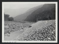 藏品(油羅溪豐田堤防復原工程(堤防復原250M)-施工後2)的圖片