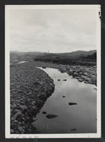 藏品(油羅溪水頭屋堤防復原工程(堤防復原314M)-施工前)的圖片