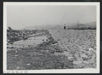 藏品(油羅溪水頭屋堤防復原工程(堤防復原314M)-施工後2)的圖片