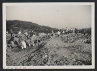 藏品(霄裡溪巨埔二號堤防復原工程(堤防復原320M)-施工中1)的圖片