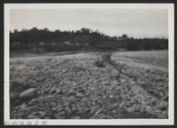 藏品(峨眉溪峨眉堤防復原工程(堤防復原300M)-施工前)的圖片