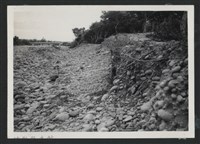 藏品(新庒子溪中崙堤防復原工程(堤防復原246M)-施工前)的圖片