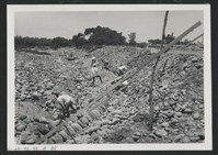 藏品(新庒子溪中崙堤防復原工程(堤防復原246M)-施工中1)的圖片