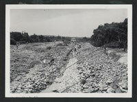 藏品(新庒子溪中崙堤防復原工程(堤防復原246M)-施工中2)的圖片