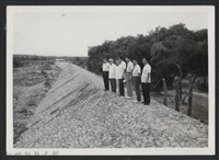 藏品(新庒子溪中崙堤防復原工程(堤防復原246M)-施工後1)的圖片