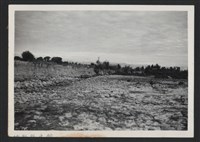 藏品(新庒子溪崁頭堤防復原工程(堤防復原301M)-施工前)的圖片