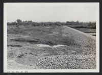 藏品(新庒子溪崁頭堤防復原工程(堤防復原301M)-施工後2)的圖片