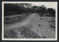 藏品(新庒子溪北勢一號二號堤防復原工程(堤防復原200M)-施工前)的圖片