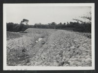 藏品(新庒子溪北勢一號二號堤防復原工程(堤防復原200M)-施工後1)的圖片