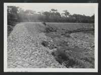 藏品(新庒子溪北勢一號二號堤防復原工程(堤防復原200M)-施工後2)的圖片