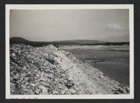 藏品(鳳山溪樟樹叢堤防加高延長復原工程(堤防復原350M)-施工中2)的圖片