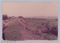 藏品(林保仁縣長主政照片：頭前溪剷除高莖作物-15)的圖片