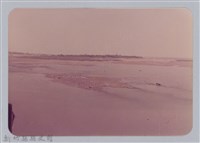 藏品(林保仁縣長主政照片：頭前溪剷除高莖作物-19)的圖片