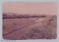 藏品(林保仁縣長主政照片：頭前溪剷除高莖作物-22)的圖片