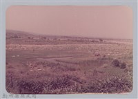 藏品(林保仁縣長主政照片：頭前溪剷除高莖作物-25)的圖片