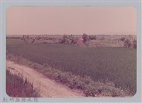 藏品(林保仁縣長主政照片：頭前溪剷除高莖作物-27)的圖片