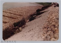 藏品(林保仁縣長主政照片：新竹縣新埔鎮六十七年度防汛演習-16)的圖片