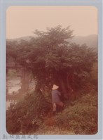 藏品(林保仁縣長主政照片：新竹縣新埔鎮六十七年度防汛演習-22)的圖片