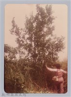 藏品(林保仁縣長主政照片：新竹縣新埔鎮六十七年度防汛演習-26)的圖片