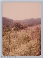 藏品(林保仁縣長主政照片：新竹縣新埔鎮六十七年度防汛演習-33)的圖片