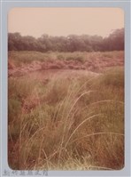 藏品(林保仁縣長主政照片：新竹縣新埔鎮六十七年度防汛演習-35)的圖片