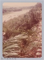 藏品(林保仁縣長主政照片：新竹縣新埔鎮六十七年度防汛演習-41)的圖片