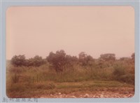 藏品(林保仁縣長主政照片：新竹縣新埔鎮六十七年度防汛演習-56)的圖片