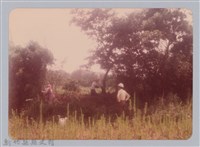 藏品(林保仁縣長主政照片：新竹縣新埔鎮六十七年度防汛演習-62)的圖片