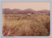 藏品(林保仁縣長主政照片：新竹縣新埔鎮六十七年度防汛演習-64)的圖片