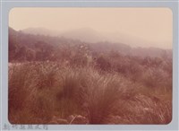 藏品(林保仁縣長主政照片：新竹縣新埔鎮六十七年度防汛演習-71)的圖片