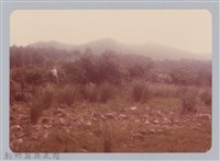 藏品(林保仁縣長主政照片：新竹縣新埔鎮六十七年度防汛演習-75)的圖片