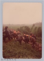 藏品(林保仁縣長主政照片：新竹縣芎林堤防防汛搶救演習-7)的圖片