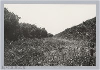 藏品(林保仁縣長主政照片：新竹縣芎林堤防防汛搶救演習-10)的圖片