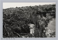 藏品(林保仁縣長主政照片：新竹縣芎林堤防防汛搶救演習-12)的圖片