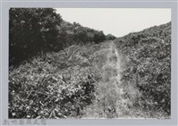 藏品(林保仁縣長主政照片：新竹縣芎林堤防防汛搶救演習-15)的圖片