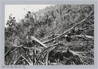 藏品(林保仁縣長主政照片：新竹縣芎林堤防防汛搶救演習-16)的圖片