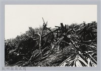 藏品(林保仁縣長主政照片：新竹縣芎林堤防防汛搶救演習-23)的圖片