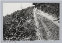 藏品(林保仁縣長主政照片：新竹縣芎林堤防防汛搶救演習-27)的圖片