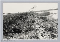 藏品(林保仁縣長主政照片：新竹縣芎林堤防防汛搶救演習-28)的圖片