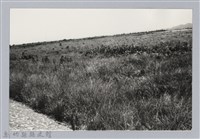 藏品(林保仁縣長主政照片：新竹縣芎林堤防防汛搶救演習-31)的圖片