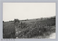 藏品(林保仁縣長主政照片：新竹縣芎林堤防防汛搶救演習-37)的圖片