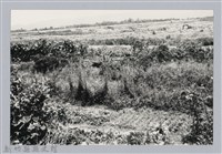 藏品(林保仁縣長主政照片：新竹縣芎林堤防防汛搶救演習-40)的圖片